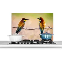 KitchenYeah Spatscherm keuken 80x55 cm - Kookplaat achterwand Vogels - Bijeneter - Dieren - Muurbeschermer - Spatwand fornuis - Hoogwaardig aluminium