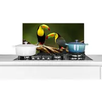 KitchenYeah Spatscherm keuken 60x30 cm - Kookplaat achterwand Vogels - Toekan - Tak - Dieren - Regenboog - Muurbeschermer - Spatwand fornuis - Hoogwaardig aluminium