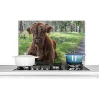 KitchenYeah Spatscherm keuken 80x55 cm - Kookplaat achterwand Schotse Hooglander - Pad - Dieren - Muurbeschermer - Spatwand fornuis - Hoogwaardig aluminium