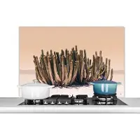 KitchenYeah Spatscherm keuken 100x65 cm - Kookplaat achterwand Cactus - Plant - Natuur - Groen - Muurbeschermer - Spatwand fornuis - Hoogwaardig aluminium