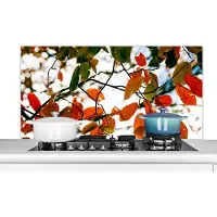 KitchenYeah Spatscherm keuken 120x60 cm - Kookplaat achterwand Herfst - Bladeren - Landelijk - Seizoenen - Muurbeschermer - Spatwand fornuis - Hoogwaardig aluminium