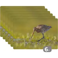 KitchenYeah Placemat - Placemats kunststof - Vogels - Gras - Landschap - Grutto - 45x30 cm - 6 stuks - Hittebestendig - Anti-Slip - Onderlegger - Afneembaar