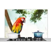 KitchenYeah Spatscherm keuken 120x80 cm - Kookplaat achterwand Papegaai - Vogel - Regenboog - Tropical - Muurbeschermer - Spatwand fornuis - Hoogwaardig aluminium