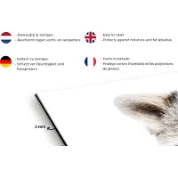 KitchenYeah Spatscherm keuken 100x65 cm - Kookplaat achterwand Wasbeer - Dieren - Natuur - Wit - Muurbeschermer - Spatwand fornuis - Hoogwaardig aluminium