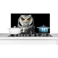 KitchenYeah Spatscherm keuken 80x40 cm - Kookplaat achterwand Uil - Vogel - Oranje - Zwart - Muurbeschermer - Spatwand fornuis - Hoogwaardig aluminium
