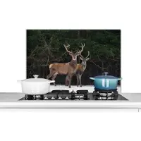 KitchenYeah Spatscherm keuken 80x55 cm - Kookplaat achterwand Hert - Sneeuw - Bos - Muurbeschermer - Spatwand fornuis - Hoogwaardig aluminium