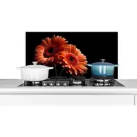 KitchenYeah Spatscherm keuken 80x40 cm - Kookplaat achterwand Bloemen - Botanisch - Gerbera - Oranje - Zwart - Muurbeschermer - Spatwand fornuis - Hoogwaardig aluminium