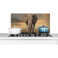 KitchenYeah Spatscherm keuken 80x40 cm - Kookplaat achterwand Olifant - Dieren - Gras - Natuur - Muurbeschermer - Spatwand fornuis - Hoogwaardig aluminium