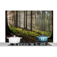 KitchenYeah Spatscherm keuken 120x80 cm - Kookplaat achterwand Zon - Takken - Bomen - Bos - Natuur - Muurbeschermer - Spatwand fornuis - Hoogwaardig aluminium