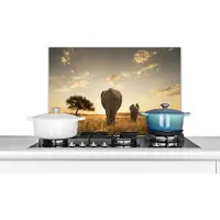 KitchenYeah Spatscherm keuken 60x40 cm - Kookplaat achterwand Olifant en kalf savanne - Muurbeschermer - Spatwand fornuis - Hoogwaardig aluminium
