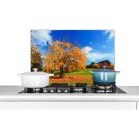 KitchenYeah Spatscherm keuken 60x40 cm - Kookplaat achterwand Boom - Bladeren - Herfst - Seizoenen - Muurbeschermer - Spatwand fornuis - Hoogwaardig aluminium