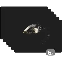 KitchenYeah Placemat - Placemats kunststof - Vogel - Portret - Neushoornvogel - Zwart - Dieren - 45x30 cm - 6 stuks - Hittebestendig - Anti-Slip - Onderlegger - Afneembaar