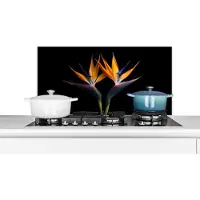 KitchenYeah Spatscherm keuken 80x40 cm - Kookplaat achterwand Planten - Bloemen - Paradijsvogelbloem - Portret - Zwart - Muurbeschermer - Spatwand fornuis - Hoogwaardig aluminium