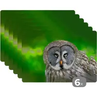 KitchenYeah Placemat - Placemats kunststof - Vogel - Uil - Dieren - Bruin - Portret - 45x30 cm - 6 stuks - Hittebestendig - Anti-Slip - Onderlegger - Afneembaar