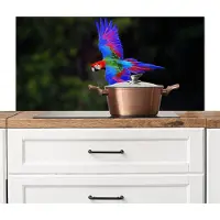 KitchenYeah Spatscherm keuken 100x50 cm - Kookplaat achterwand Felgekleurd - Papegaai - Bos - Vleugels - Muurbeschermer - Spatwand fornuis - Hoogwaardig aluminium