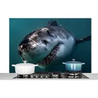KitchenYeah Spatscherm keuken 120x80 cm - Kookplaat achterwand Haai - Wit - Water - Muurbeschermer - Spatwand fornuis - Hoogwaardig aluminium