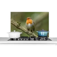 KitchenYeah Spatscherm keuken 80x55 cm - Kookplaat achterwand Vogel - Roodborstje - Tak - Planten - Muurbeschermer - Spatwand fornuis - Hoogwaardig aluminium