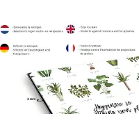 KitchenYeah Spatscherm keuken 100x50 cm - Kookplaat achterwand Spreuken - Quotes - Happiness is... watching your plant starting to grow - Planten - Muurbeschermer - Spatwand fornuis - Hoogwaardig aluminium