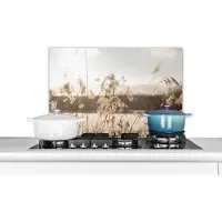 KitchenYeah Spatscherm keuken 70x50 cm - Kookplaat achterwand Water - Pampasgras - Planten - Muurbeschermer - Spatwand fornuis - Hoogwaardig aluminium