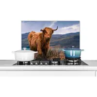 KitchenYeah Spatscherm keuken 70x50 cm - Kookplaat achterwand Schotse Hooglander - Berg - Water - Natuur - Koe - Muurbeschermer - Spatwand fornuis - Hoogwaardig aluminium