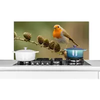 KitchenYeah Spatscherm keuken 100x50 cm - Kookplaat achterwand Vogel - Roodborstje - Dennenappel - Tak - Herfst - Muurbeschermer - Spatwand fornuis - Hoogwaardig aluminium