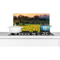 KitchenYeah Spatscherm keuken 70x30 cm - Kookplaat achterwand Zonnebloem - Natuur - Berg - Muurbeschermer - Spatwand fornuis - Hoogwaardig aluminium