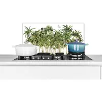 KitchenYeah Spatscherm keuken 60x30 cm - Kookplaat achterwand Jungle - Palmboom - Vogels - Muurbeschermer - Spatwand fornuis - Hoogwaardig aluminium