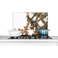 KitchenYeah Spatscherm - Boom - Takken - Geel - Natuur - Spatwand- 70x50 cm - Muurbeschermer
