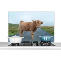 KitchenYeah Spatscherm keuken 100x65 cm - Kookplaat achterwand Schotse Hooglander - Weg - Gras - Muurbeschermer - Spatwand fornuis - Hoogwaardig aluminium