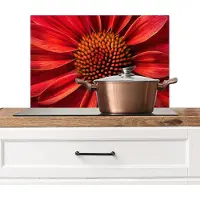 KitchenYeah Spatscherm keuken 60x40 cm - Kookplaat achterwand Close up - Bloem- Rood - Muurbeschermer - Spatwand fornuis - Hoogwaardig aluminium