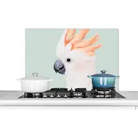 KitchenYeah Spatscherm keuken 80x55 cm - Kookplaat achterwand Kaketoe - Dieren - Natuur - Wit - Muurbeschermer - Spatwand fornuis - Hoogwaardig aluminium