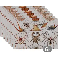 KitchenYeah Placemat - Placemats kunststof - Retro - Spin - Ernst Haeckel - Spinnen - 45x30 cm - 6 stuks - Hittebestendig - Anti-Slip - Onderlegger - Afneembaar