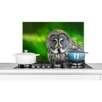 KitchenYeah Spatscherm keuken 70x50 cm - Kookplaat achterwand Vogel - Uil - Dieren - Bruin - Portret - Muurbeschermer - Spatwand fornuis - Hoogwaardig aluminium