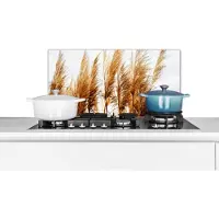 KitchenYeah Spatscherm keuken 60x30 cm - Kookplaat achterwand Pampasgras - Zon - Gras - Muurbeschermer - Spatwand fornuis - Hoogwaardig aluminium