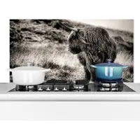 KitchenYeah Spatscherm keuken 120x60 cm - Kookplaat achterwand Schotse hooglander - Koeien - Zwart - Wit - Muurbeschermer - Spatwand fornuis - Hoogwaardig aluminium