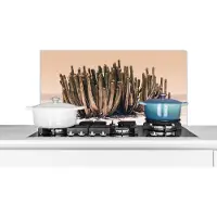KitchenYeah Spatscherm keuken 80x40 cm - Kookplaat achterwand Cactus - Plant - Natuur - Groen - Muurbeschermer - Spatwand fornuis - Hoogwaardig aluminium