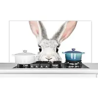 KitchenYeah Spatscherm keuken 120x60 cm - Kookplaat achterwand Konijn - Dieren - Natuur - Wit - Muurbeschermer - Spatwand fornuis - Hoogwaardig aluminium