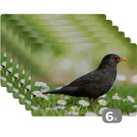 KitchenYeah Placemat - Placemats kunststof - Vogel - Merel - Bloemen - 45x30 cm - 6 stuks - Hittebestendig - Anti-Slip - Onderlegger - Afneembaar