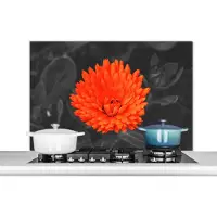 KitchenYeah Spatscherm keuken 100x65 cm - Kookplaat achterwand Bloemen - Oranje - Zwart - Wit - Muurbeschermer - Spatwand fornuis - Hoogwaardig aluminium