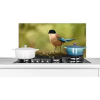 KitchenYeah Spatscherm keuken 80x40 cm - Kookplaat achterwand Ekster - Vogel - Mos - Muurbeschermer - Spatwand fornuis - Hoogwaardig aluminium