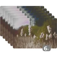 KitchenYeah Placemat - Placemats kunststof - Katoen - Zon - Planten - 45x30 cm - 6 stuks - Hittebestendig - Anti-Slip - Onderlegger - Afneembaar