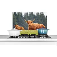 KitchenYeah Spatscherm keuken 60x40 cm - Kookplaat achterwand Schotse hooglander - Zon - Gras - Muurbeschermer - Spatwand fornuis - Hoogwaardig aluminium