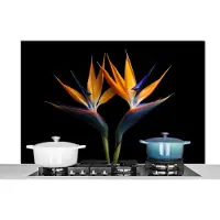 KitchenYeah Spatscherm keuken 120x80 cm - Kookplaat achterwand Planten - Bloemen - Paradijsvogelbloem - Portret - Zwart - Muurbeschermer - Spatwand fornuis - Hoogwaardig aluminium
