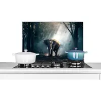KitchenYeah Spatscherm keuken 60x40 cm - Kookplaat achterwand Olifant - Dieren - Licht - Bos - Natuur - Wilde dieren - Muurbeschermer - Spatwand fornuis - Hoogwaardig aluminium