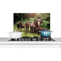 KitchenYeah Spatscherm keuken 70x50 cm - Kookplaat achterwand Olifant - Dieren - Bos - Gras - Groen - Muurbeschermer - Spatwand fornuis - Hoogwaardig aluminium