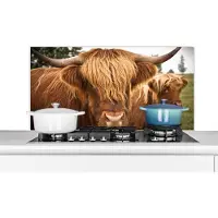KitchenYeah Spatscherm keuken 100x50 cm - Kookplaat achterwand Schotse Hooglanders - Bruin - Gras - Muurbeschermer - Spatwand fornuis - Hoogwaardig aluminium