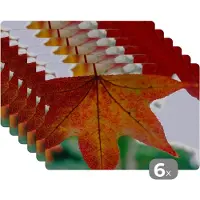 KitchenYeah Placemat - Placemats kunststof - Herfst - Landelijk - Bladeren - Seizoenen - Landelijk - 45x30 cm - 6 stuks - Hittebestendig - Anti-Slip - Onderlegger - Afneembaar