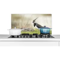 KitchenYeah Spatscherm keuken 80x40 cm - Kookplaat achterwand Vogel - Gras - Dieren - Natuur - Kievit - Muurbeschermer - Spatwand fornuis - Hoogwaardig aluminium