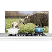 KitchenYeah Spatscherm keuken 120x60 cm - Kookplaat achterwand Schaap - Gras - Lente - Muurbeschermer - Spatwand fornuis - Hoogwaardig aluminium