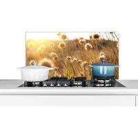 KitchenYeah Spatscherm keuken 80x40 cm - Kookplaat achterwand Planten - Natuur - Bloemen - Zon - Horizon - Muurbeschermer - Spatwand fornuis - Hoogwaardig aluminium